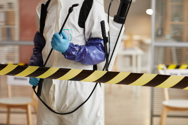 Professional Sewage Cleanup technician working in Kingman, AZ